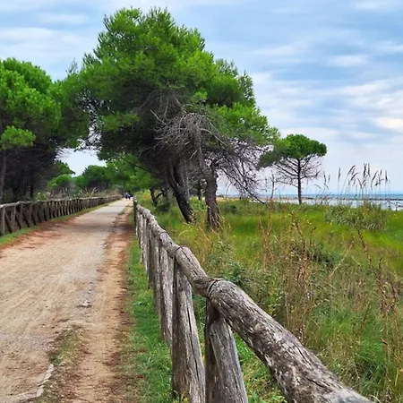 Lejlighed Bright Sea Front With Balcony